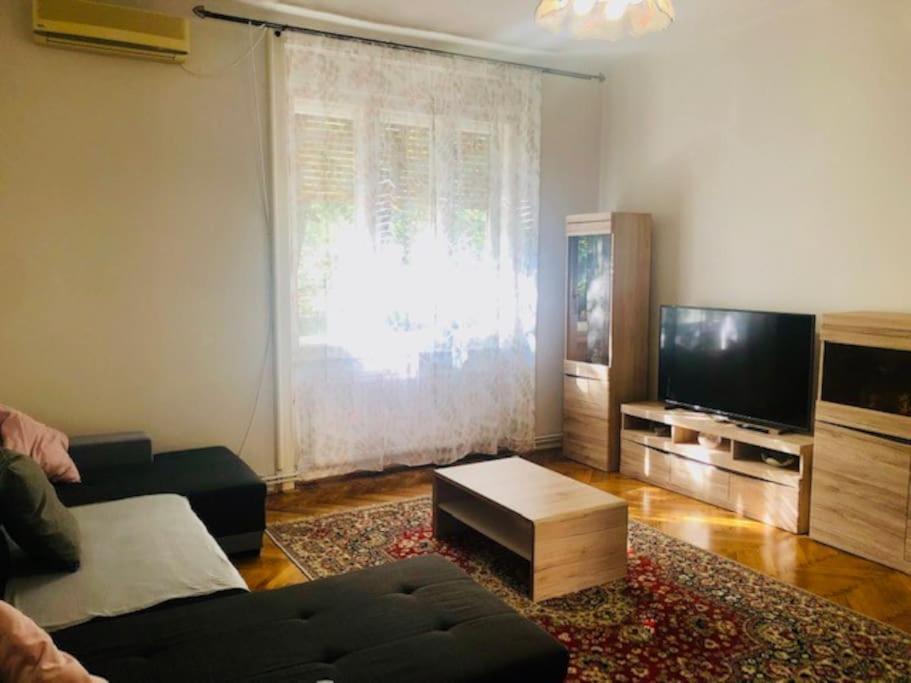 Joy City Stay Colonel Enescu 3 Тимишоара Экстерьер фото